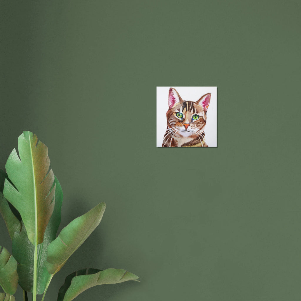 2355e071-5c54-4ba3-8704-55fead60eef8