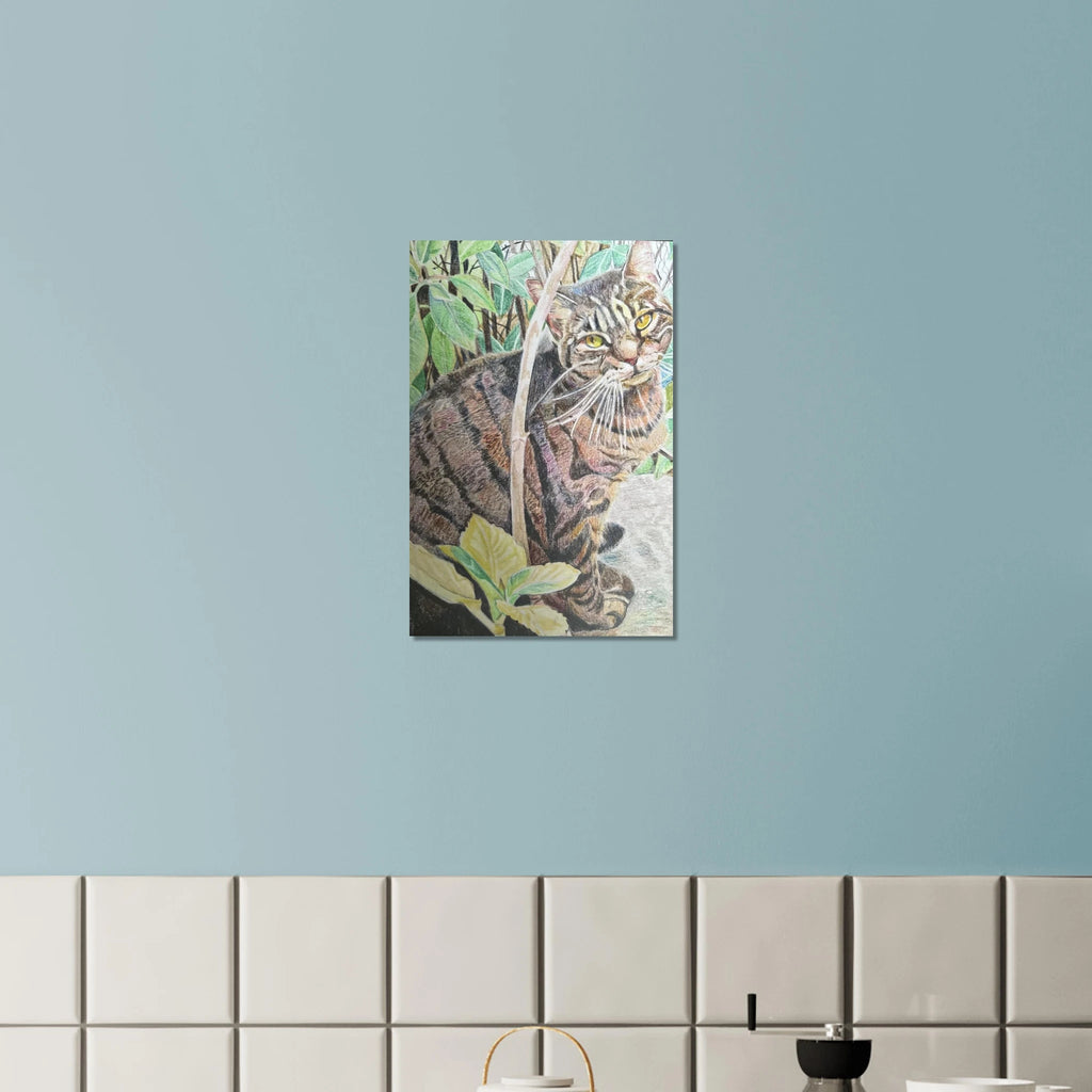 2fb51f1e-5ed2-4633-934b-9c052af9593c