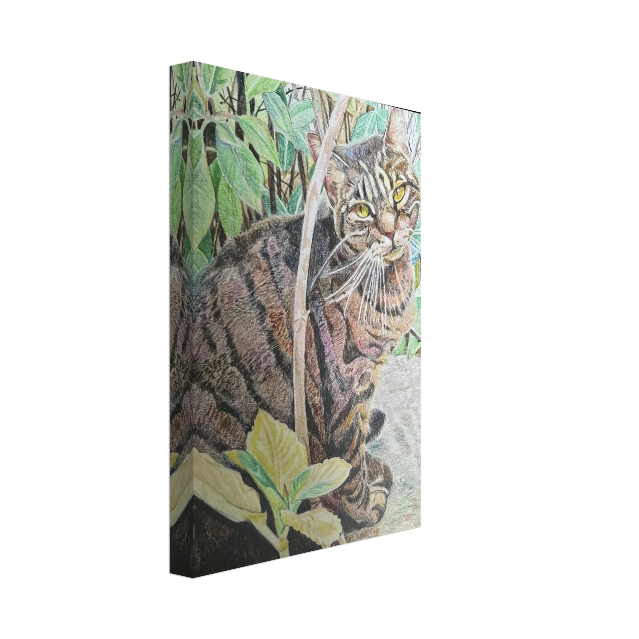 3e357958-06e7-4fcb-bab1-8f850a667e2b