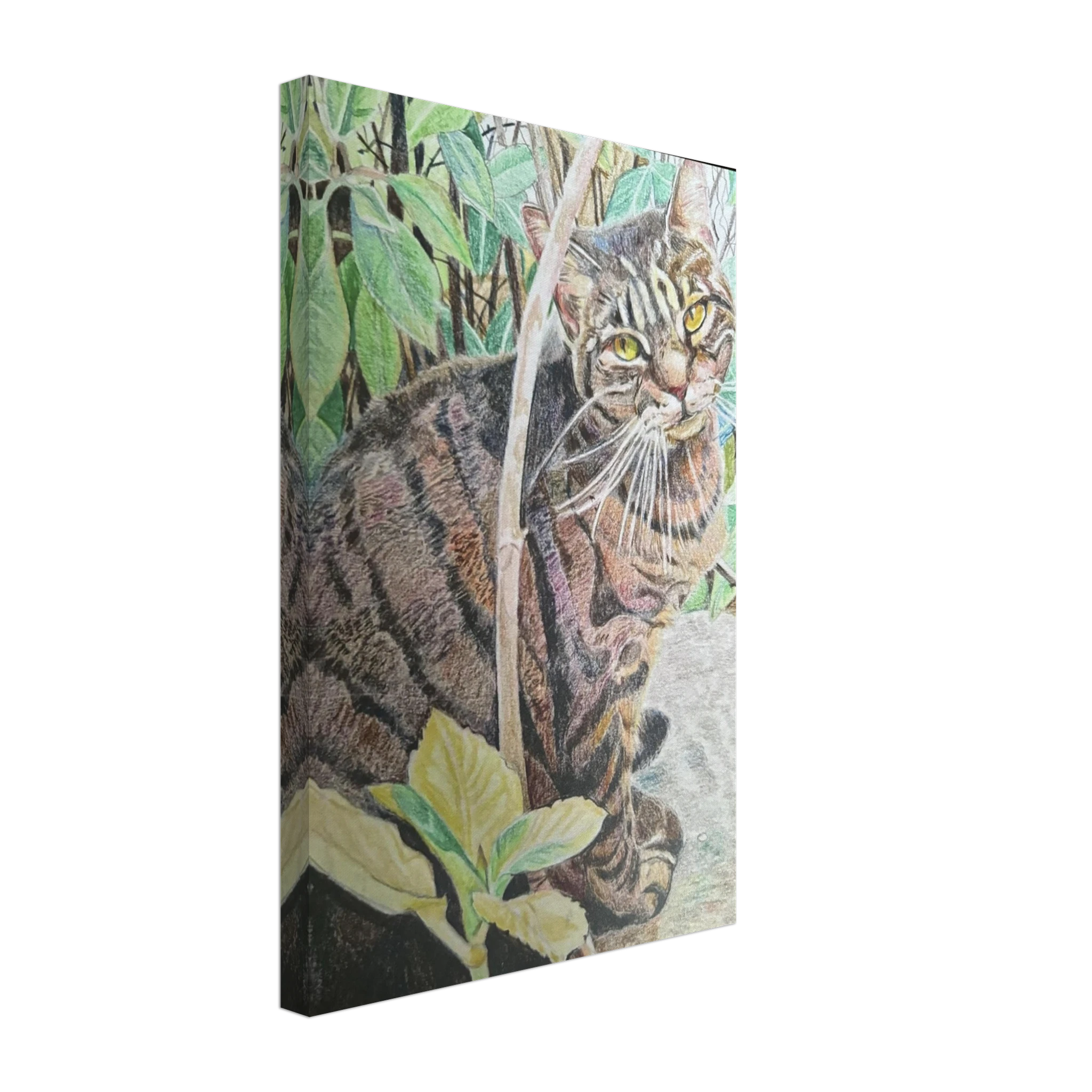 42173875-d138-4bb1-b14e-7d1127b11a50