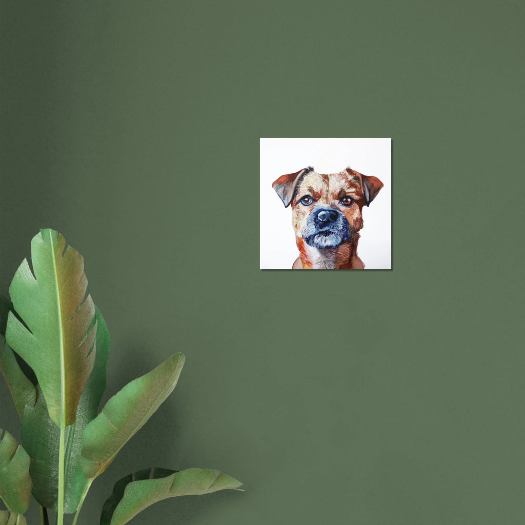 800f2669-b630-4b62-affe-23a1cd1beb76