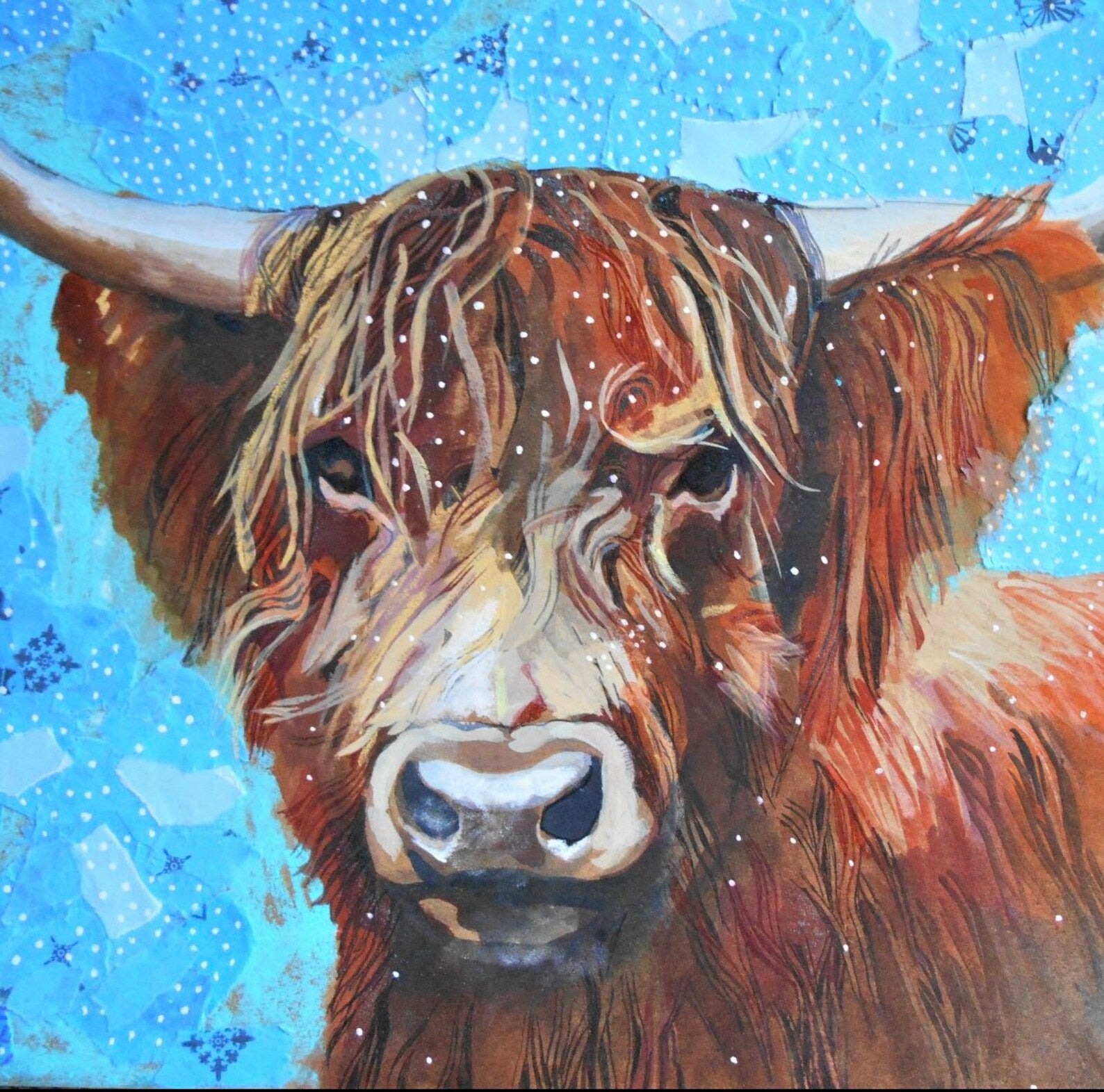 Highland Cow In The Snow