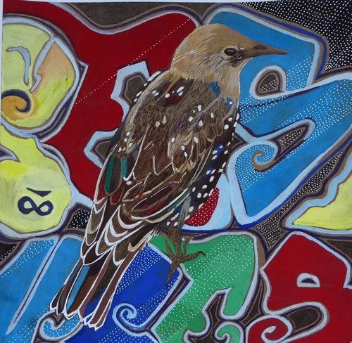 Urban Starling Graffiti