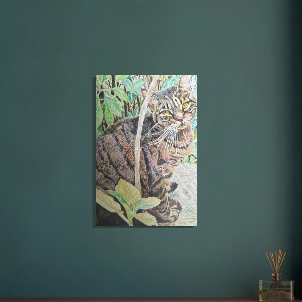 a2a64322-e462-4668-8e74-7235501f395f