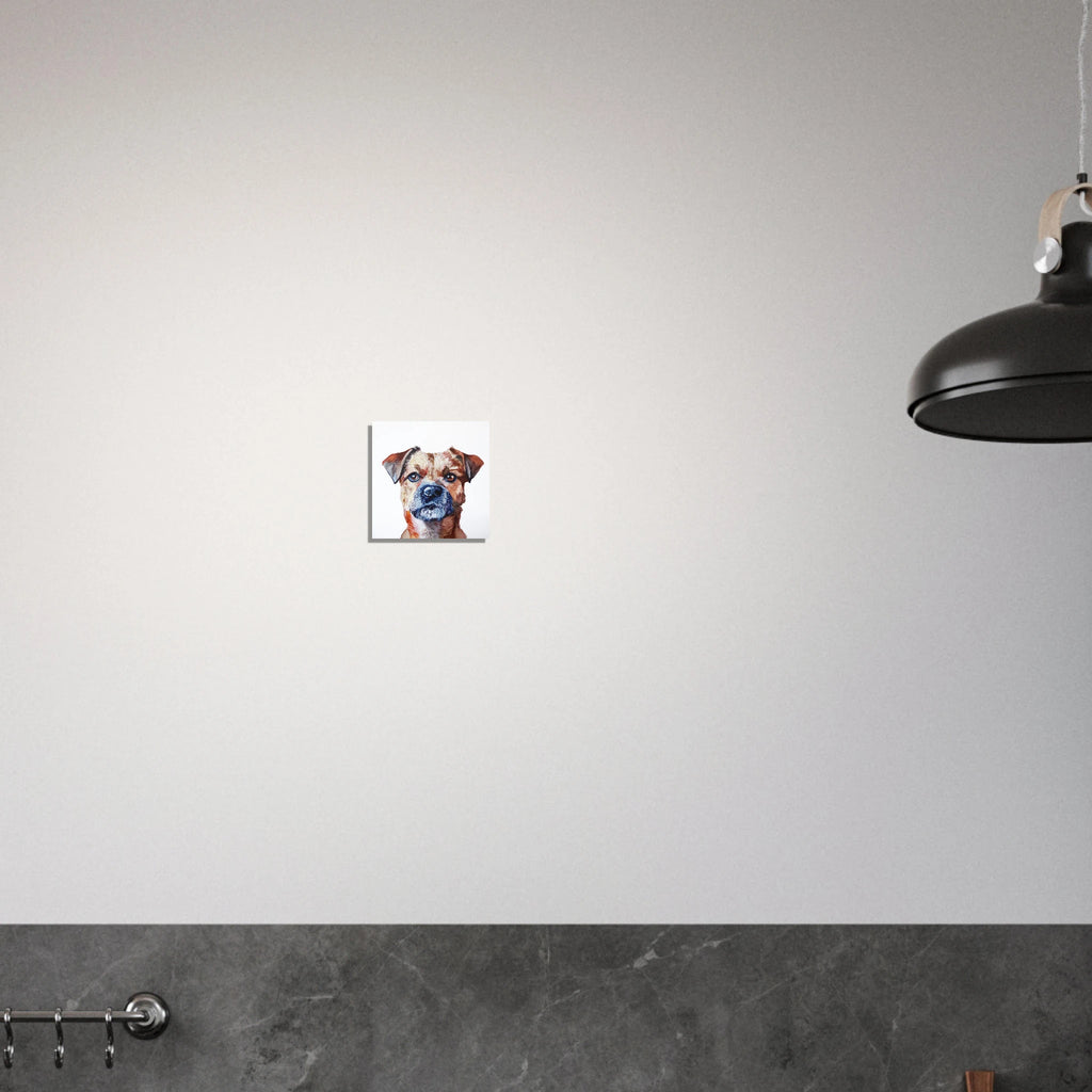 c6b94a41-9d46-4a3e-8327-03a2685a7b08