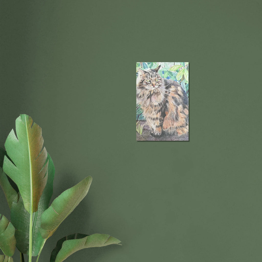 de67ddb2-772f-4c44-a791-11468fc1c50a